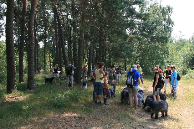 Spaziergang Juli 2010